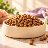Trufeast Adult Dry Dog Food — Chicken & Rice, Oven Baked | 250g Trial Pack