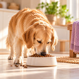 Trufeast Adult Dry Dog Food — Chicken & Rice, Oven Baked | 250g Trial Pack