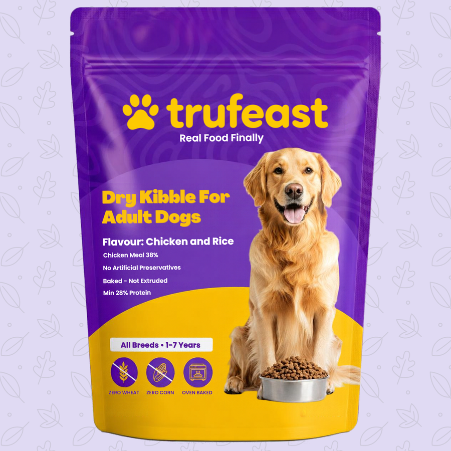 Trufeast Adult Dry Dog Food — Chicken & Rice, Oven Baked | 250g Trial Pack